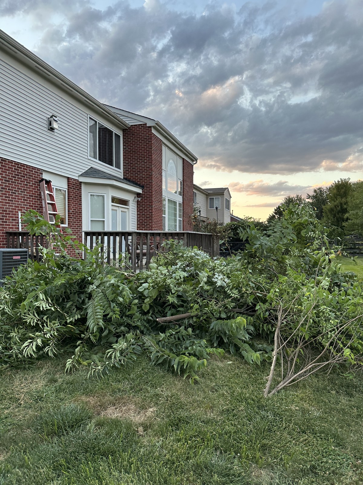 Stack of cut tree limbs and brush stacked beside a home for yard waste removal